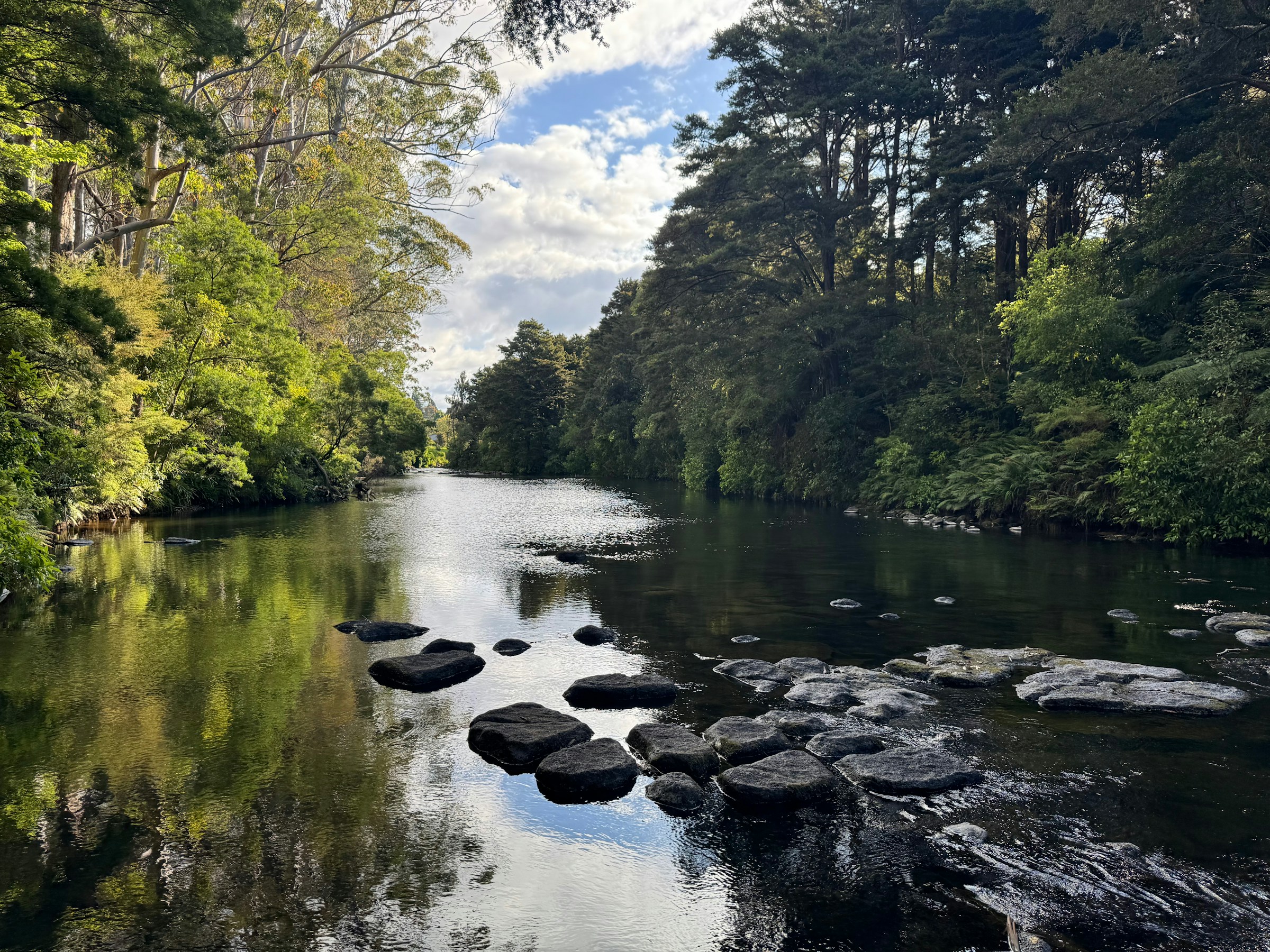 Kerikeri